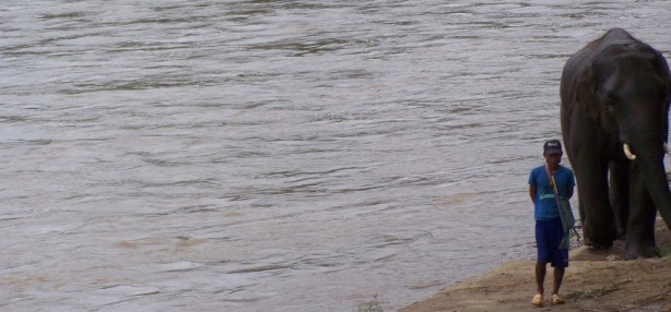 Elephant Nature Park