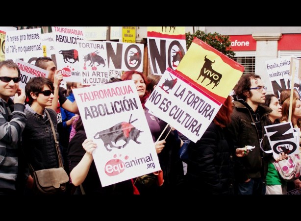 Madrid Bull Fighting Protest