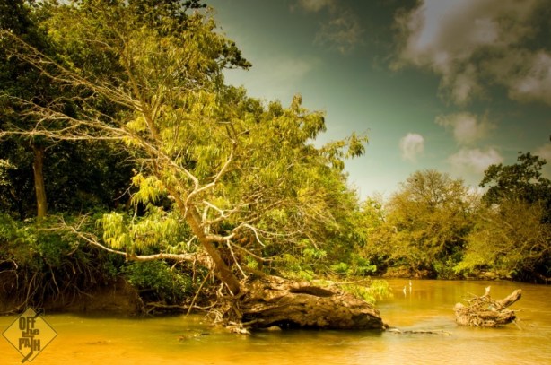 Yala National Park, Sri Lanka