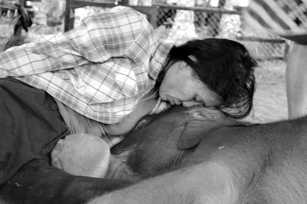 Lek and Rajah Lek leans protectively over Rajah Gajah