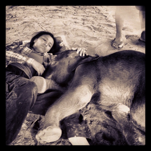 Lek and Rajah Gajah Lek Chailert consoles baby Rajah Gajah