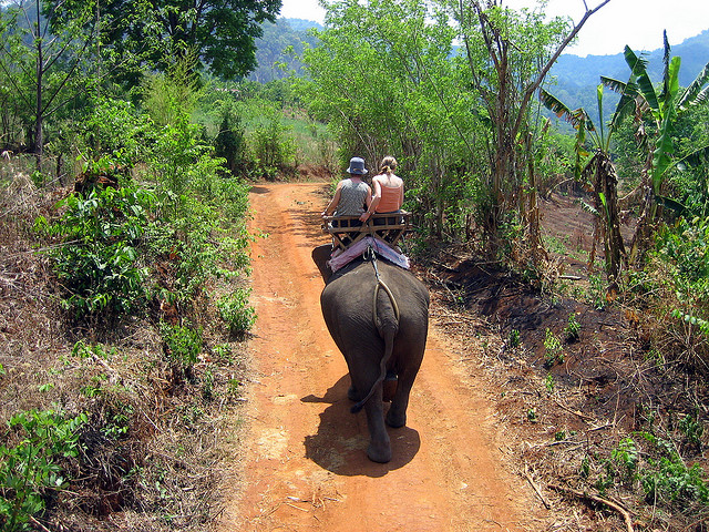 Riding an elephant in Asia