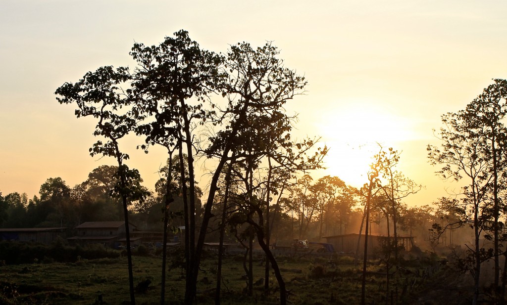 Sunrise in Cambodia on the morning of our rescue