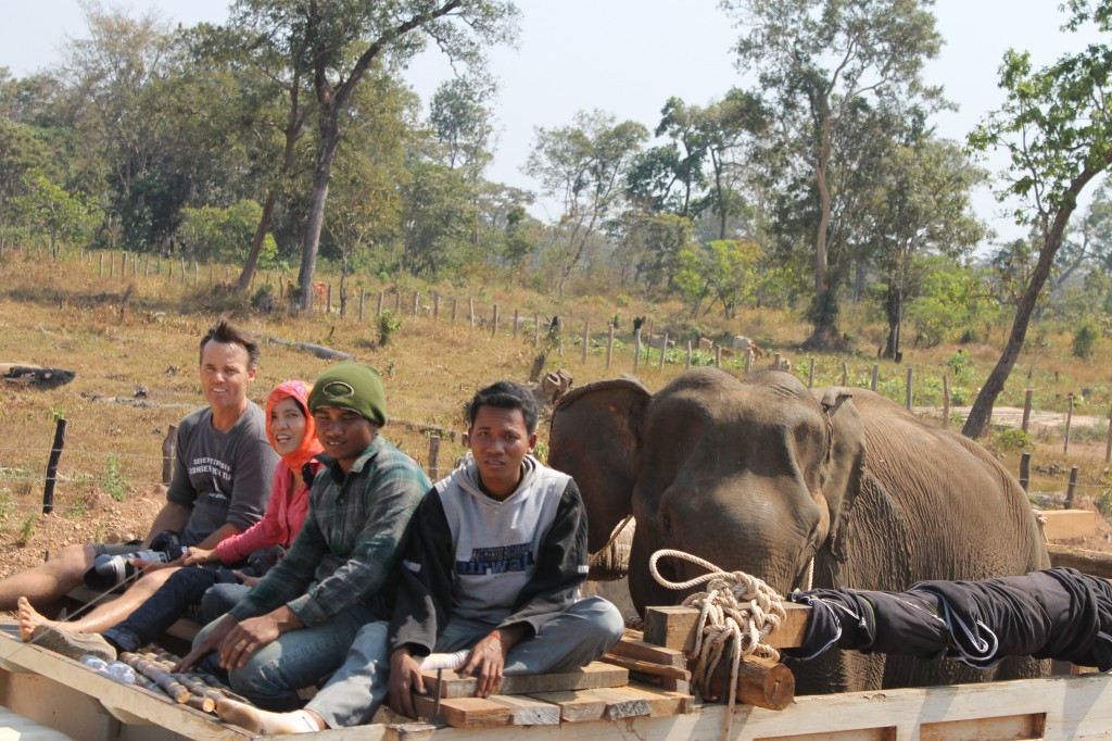 The other elephant rescue truck gets passed by us ... which means no more dust!