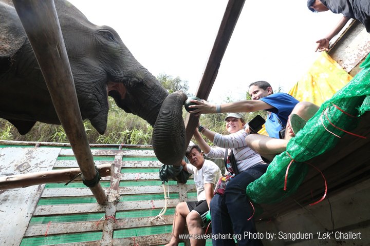 Morning at Elephant Nature Park
