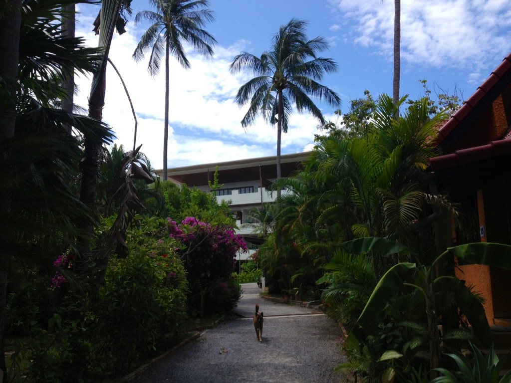 Passing the villas at Beach Republic