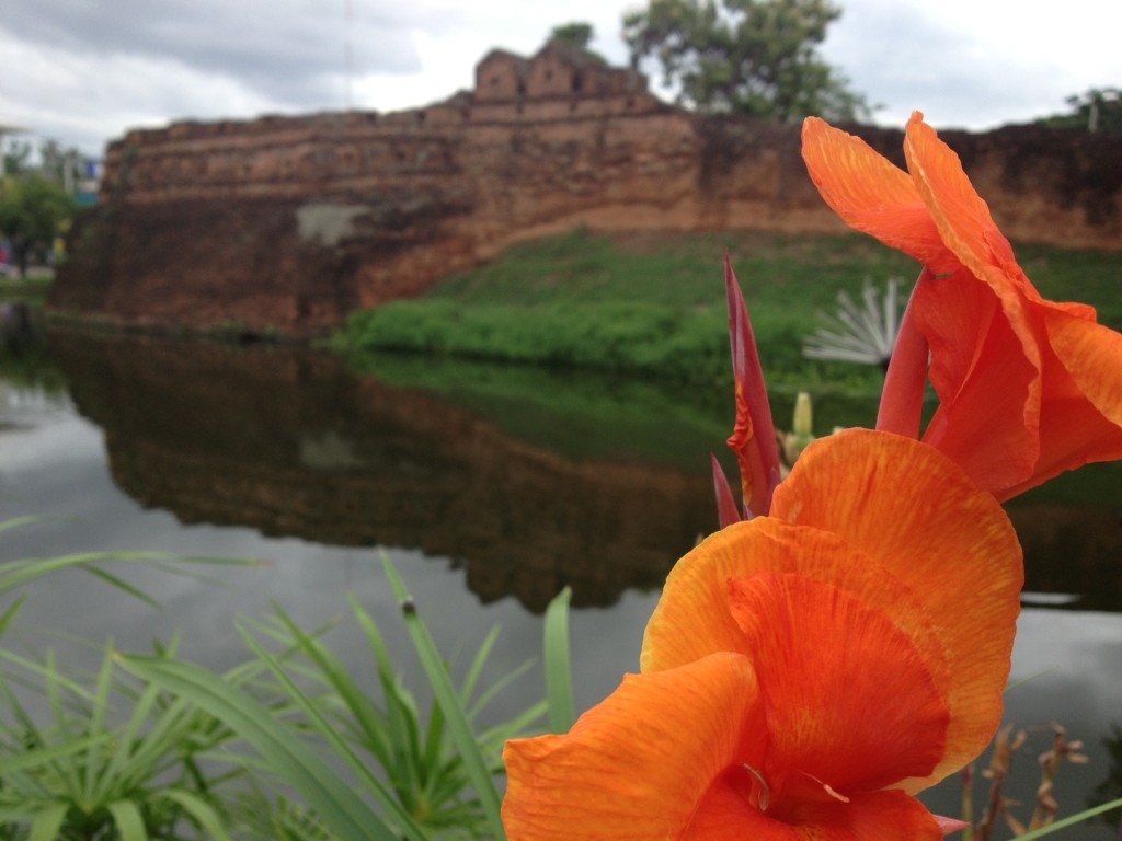 A ride around Chiang Mai's moat should be 20 baht