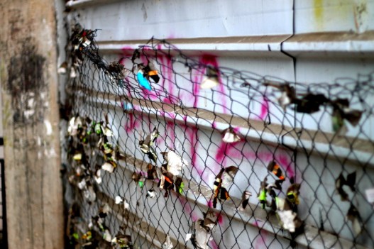 Another shot from Tel Aviv