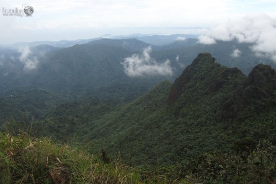 View from the peak of El Yunque in Puerto Rico