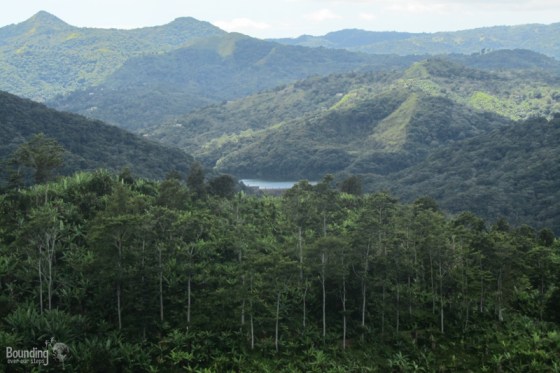Viewpoint along Ruta Panoramica in Puerto Rico