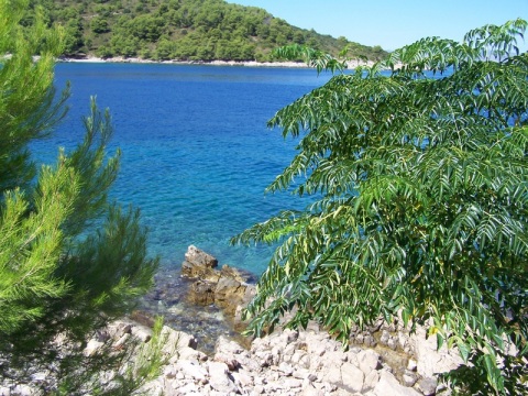 The island of Solta, Croatia