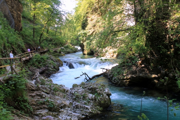 Waterfall in Vintgar Gorge Slovenia