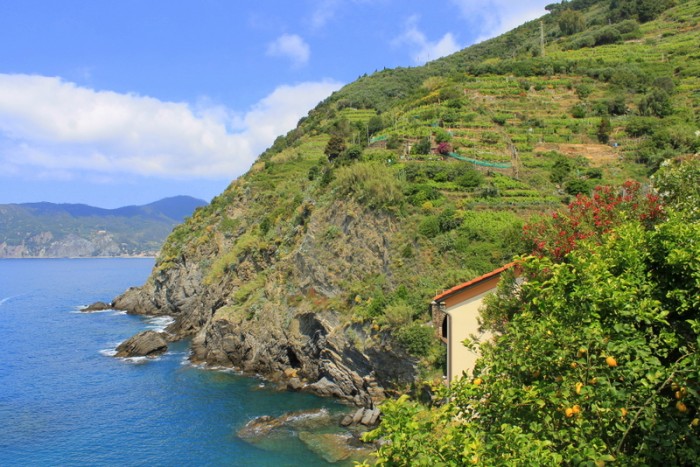 One of the many spectacular views from the Vernazza - Monterosso hike.