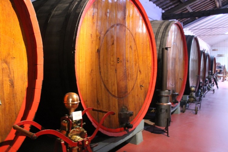 Aging Lambrusco at Gavioli winery