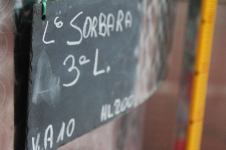 Gavioli Lambrusco in Italy