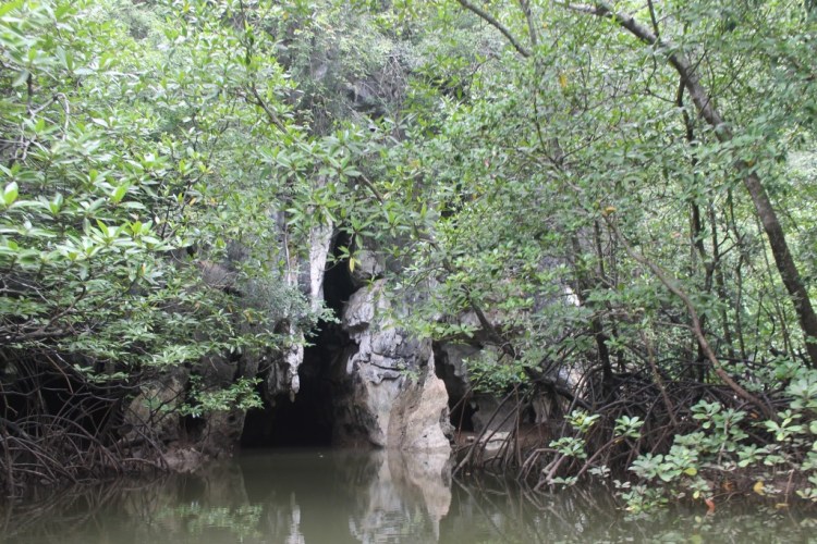 Looking for things to do in Krabi? Kayaking in Bor Thor is a must!
