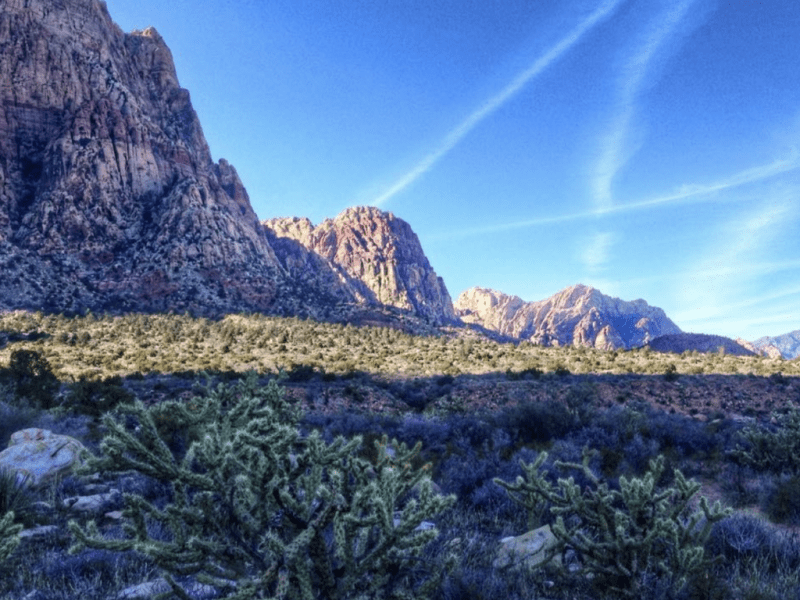 On a Normal&nbsp;Life